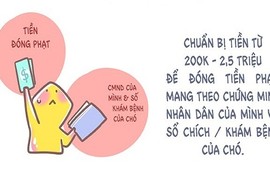 Thanh niên truyền nhau bí kíp để chó cưng không bị "tạm giam"