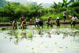 Nhiều hoạt động hấp dẫn trong tour du lịch cộng đồng ở Ninh Bình