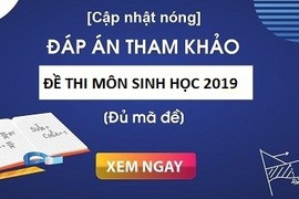 Đáp án đề thi tham khảo môn Sinh học THPT quốc gia 2019