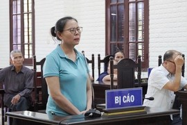  “Nữ quái” lừa chạy việc ở Quảng Bình lĩnh 14 năm tù