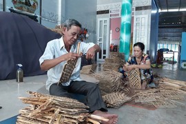 Loại cây ngoại lai giúp dân có tiền... đi chợ