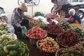 Hà Nội sẽ không còn hoa quả bán rong vỉa hè 