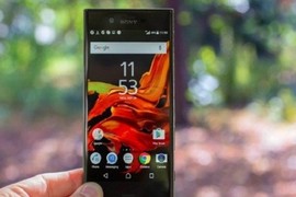 Sony Xperia XZ1, XZ1 Compact lộ giá bán và màu sắc