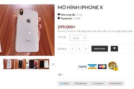 Bỏ 22 triệu mua iPhone X, nhận được mô hình tại Sài Gòn