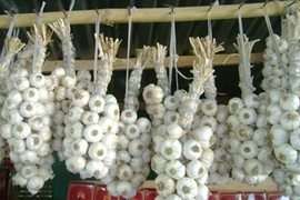 Tỏi Phan Rang giá 200.000 đồng/kg có gì đặc biệt?