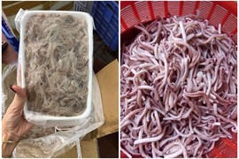 Râu mực siêu rẻ chỉ vài chục/kg "gây sốt" rần rần