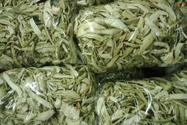 Bất ngờ loại rau xưa cho lợn ăn thành đặc sản 300.000 đồng/kg