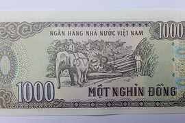 Những sự thật thú vị ít biết về đồng tiền của Việt Nam 