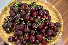 Cherry nhập khẩu “rẻ chưa từng thấy”, chị em thi nhau mua