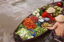 Clip 90 ngày sống thú vị trên dòng sông Mekong