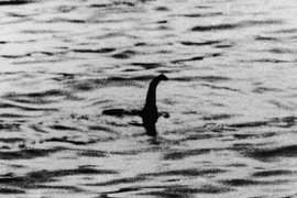 Phát hiện họ hàng của quái vật hồ Loch Ness 