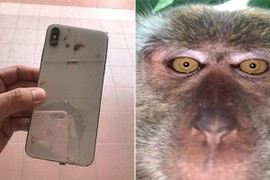 Tá hỏa phát hiện ảnh selfie của “kẻ trộm” trong iPhone bị đánh cắp