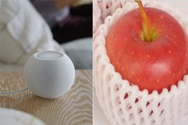 Loa Homepod Mini của Apple bị ví như quả táo... chưa cắn