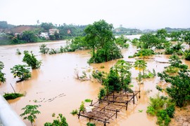 Nước sông Hồng dâng cao, nhiều vùng ven sông ngập úng