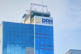 DRH Holdings lỗ thêm 42 tỷ đồng sau soát xét bán niên 2024