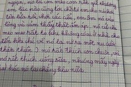 Bài văn tả mèo hàng xóm của bé gái khiến dân mạng "gục ngã"