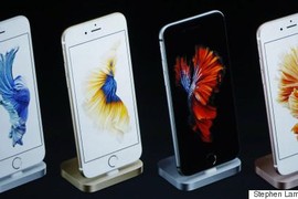 Giải mật loài cá bí ẩn xuất hiện cùng iPhone 6S