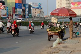 Minh oan cho cam sành giá siêu rẻ ở Sài Gòn 