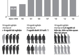 Infographics: Báo động tình trạng người nghiện ma túy ở Việt Nam