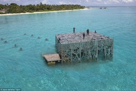 Phòng trưng bày nghệ thuật thủy triều độc đáo ở Maldives