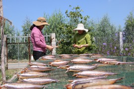 Làm giàu khác người: “Nhị cô nương” và món khô cá đồng, cá sông