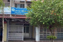 Buộc thôi việc nữ phó phòng đi du học nước ngoài không về