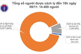 Hai ca nhiễm mới COVID-19 nhập cảnh từ Hà Lan