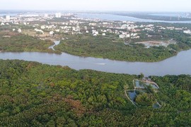 Bà Như Loan: "Nhiều lần muốn trả lại tiền cho Sunny Island"