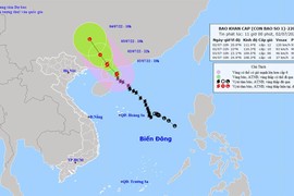 Bão số 1 di chuyển theo hướng Tây Bắc, sức gió mạnh nhất giật cấp 15