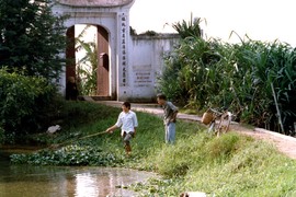 Ảnh độc: Khó nhận ra đây là hồ Tây, hồ Trúc Bạch 32 năm trước