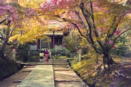 Ngẩn người trước vẻ đẹp mùa thu Kyoto năm 1990