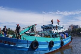 Chủ tàu cá ở Kiên Giang bị phạt hơn 2,3 tỷ đồng