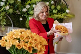 Hà Lan lấy tên Đệ nhất phu nhân Mỹ Jill Biden đặt cho hoa tulip 