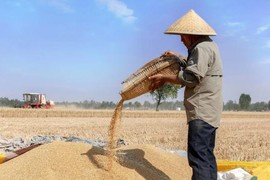 Các cụ dạy: 'Đàn ông sợ tháng Tám, đàn bà sợ tháng Chạp'