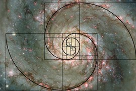 Dãy số Fibonacci: Bí ẩn của vũ trụ hay chỉ là sự trùng hợp?