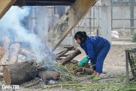 Động vật ở vườn thú Hà Nội được đốt lửa để sưởi ấm