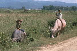 Loạt ảnh cuộc sống thanh bình ở Điện Biên Phủ năm 1992