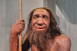 Điều gì xảy ra nếu loài người Neanderthal tồn tại đến ngày nay?