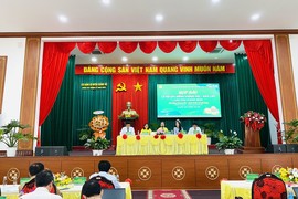 Trúng sầu riêng, nông dân Krông Pắk mua 1.000 ô tô trong hai năm