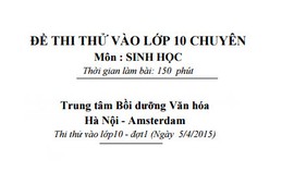 Đáp án, đề thi thử Sinh vào lớp 10 THPT Chuyên HN-Amsterdam