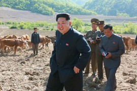 Hình ảnh lãnh đạo Kim Jong-un thị sát trại chăn nuôi