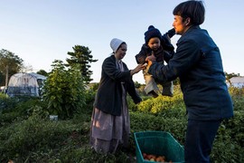 Ảnh: Cộng đồng Amish khước từ lối sống hiện đại ở Mỹ