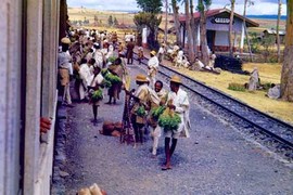 12 bức ảnh về Ethiopia hồi cuối những năm 1940 