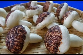 Video: Cách làm bánh bao cây nấm vừa ngon vừa dễ thương hết nấc