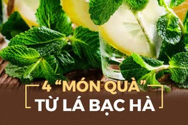 Video: Chuyên gia tiết lộ 4 “món quà” sức khỏe từ lá bạc hà