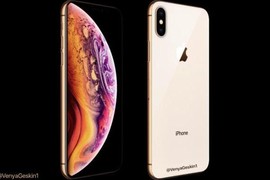 iPhone mới chưa ra mắt, dân buôn VN đã tuyển quân xếp hàng