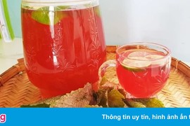 3 thời điểm tốt nhất nên uống lá tía tô ít người biết