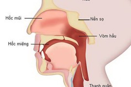 Hội thảo Khoa học: Những tiến bộ trong Tầm soát và điều trị ung thư Đầu - Mặt - Cổ