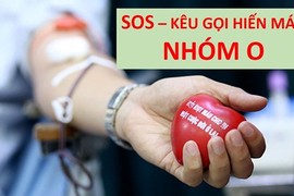 Cạn kiệt nhóm máu O, 180 bệnh viện chỉ còn đủ dùng 3 ngày