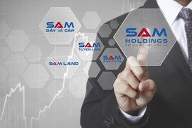 Sam Holdings báo lãi ròng năm 2019 sụt 25%